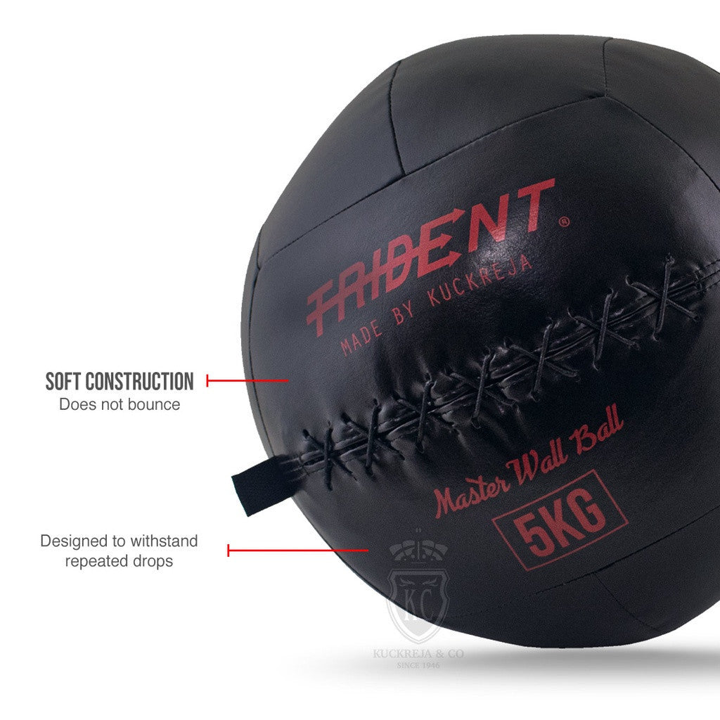 Trident Master Premium Wall Ball - 5kg
