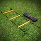 Trident Master Premium Speed Ladder - 4M (Yellow/Black)