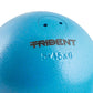 Trident Turned Shot Put - 5.45kg