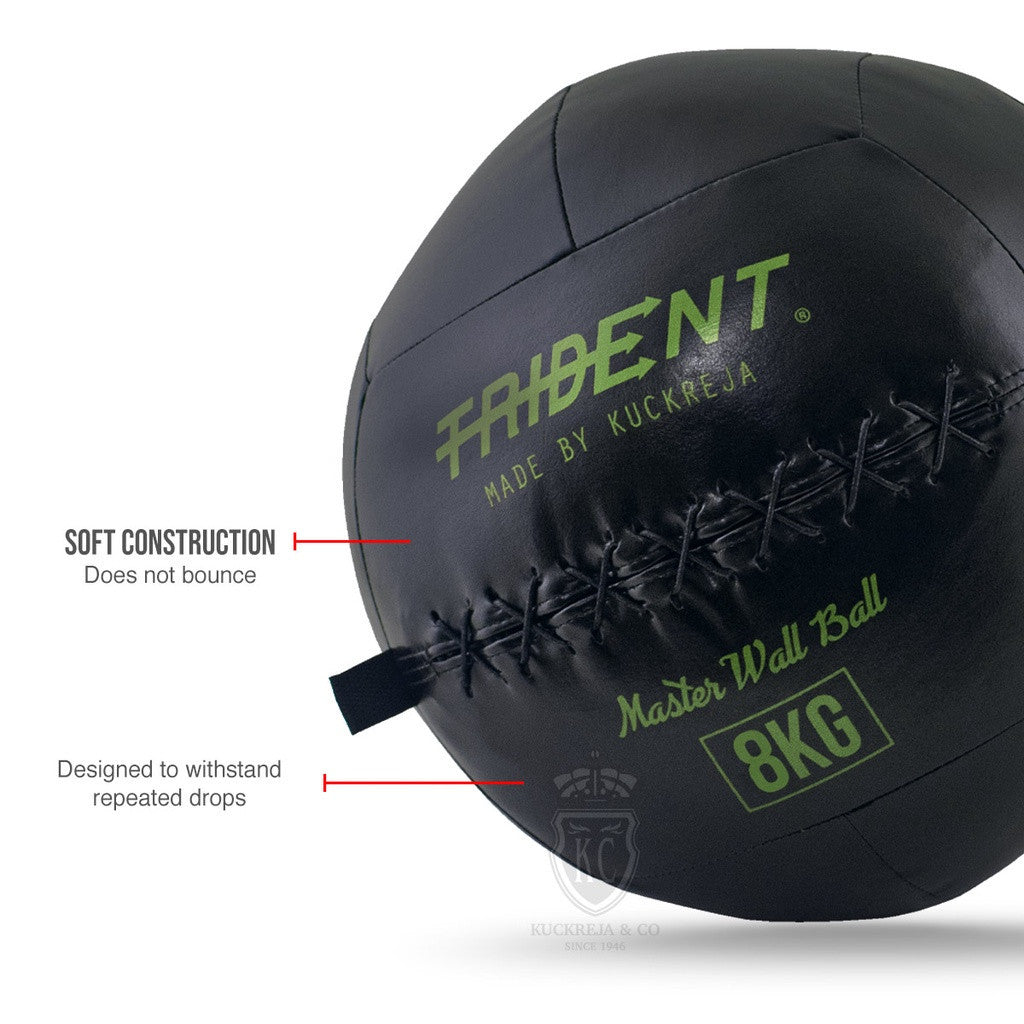 Trident Master Premium Wall Ball - 8kg
