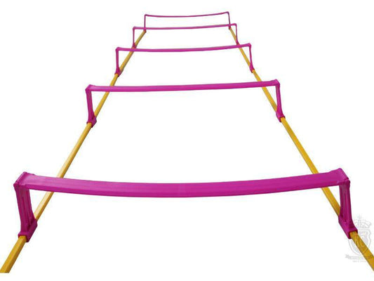 Trident Elevated Speed Ladder - 3m