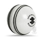 Gray Nicolls Wonderball Cricket Ball - White
