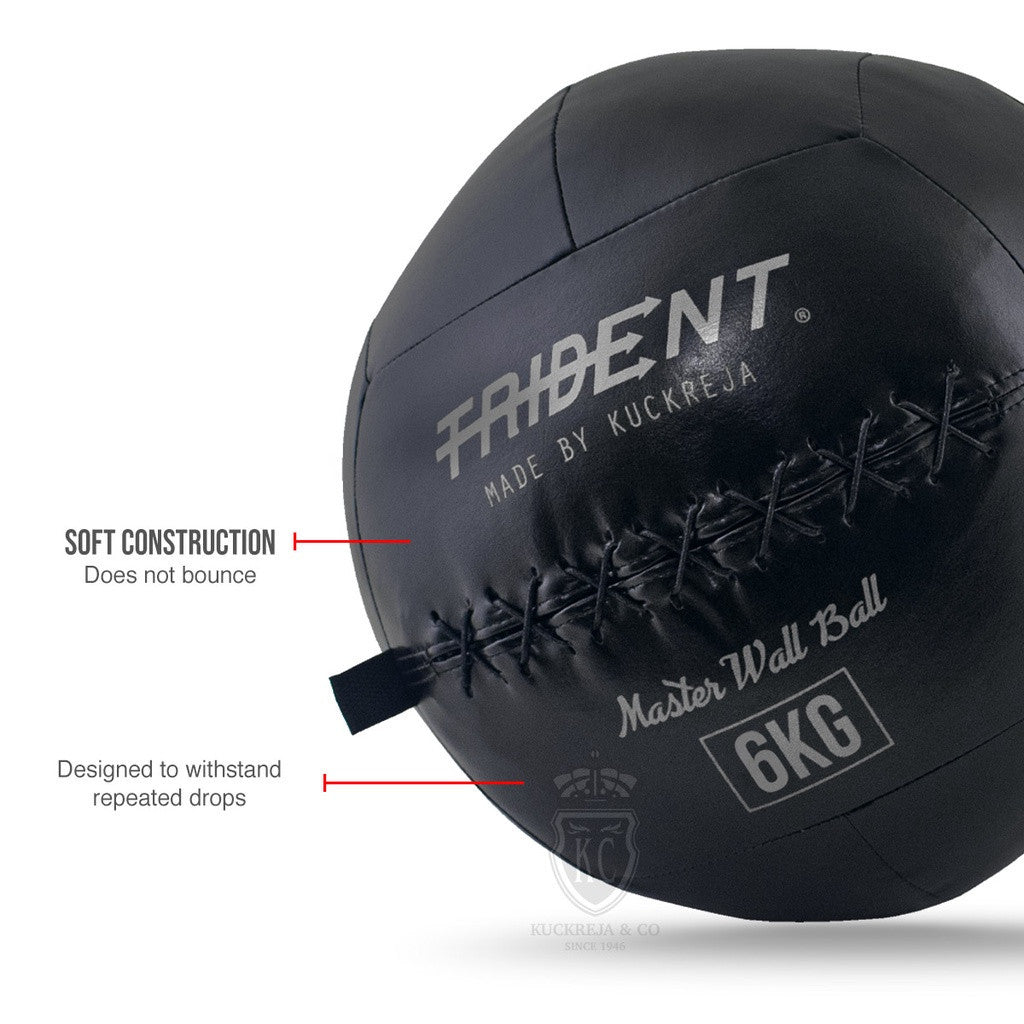 Trident Master Premium Wall Ball - 6kg