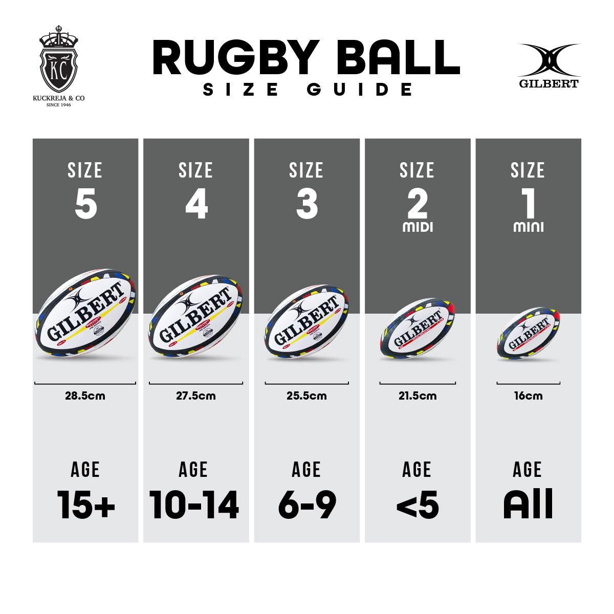Gilbert GTR 6000 Rugby Ball - Blue (Size 5)