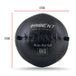Trident Master Premium Wall Ball - 6kg