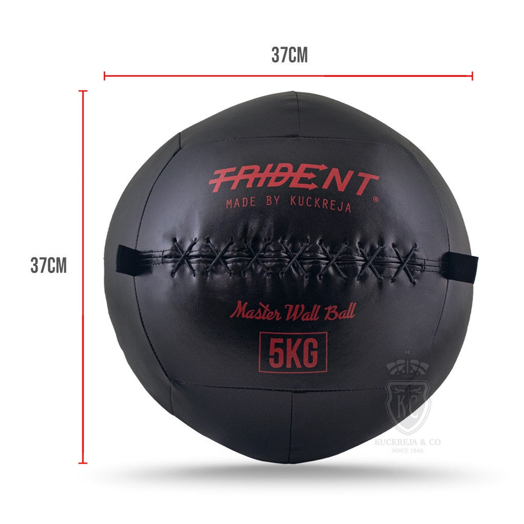 Trident Master Premium Wall Ball - 5kg