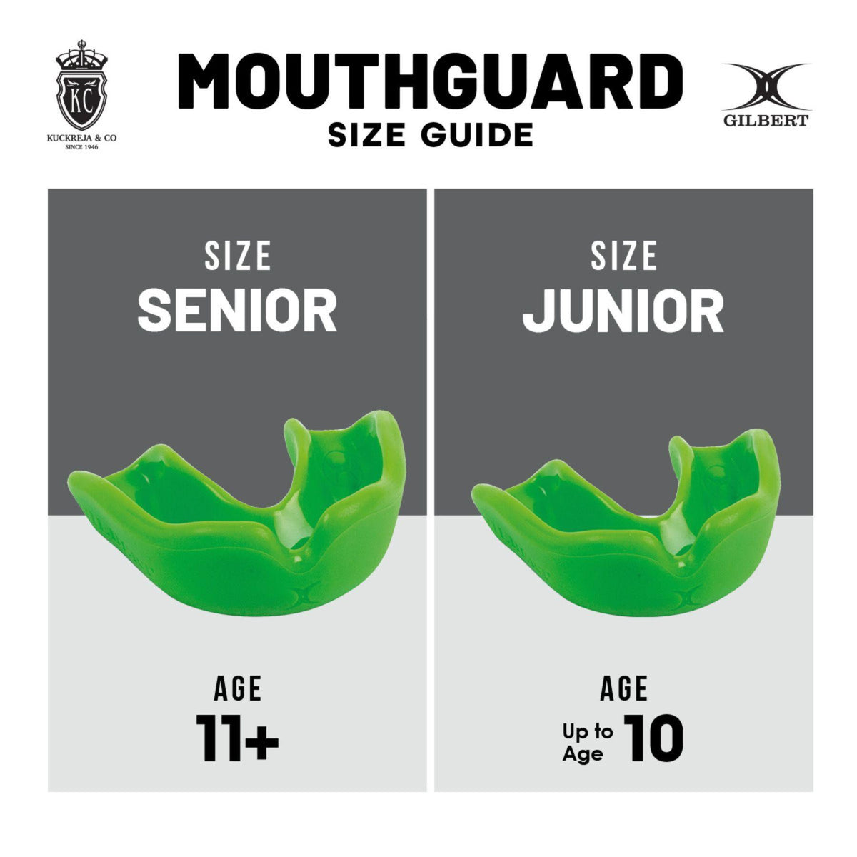 Gilbert Academy Mouthguard - Clear