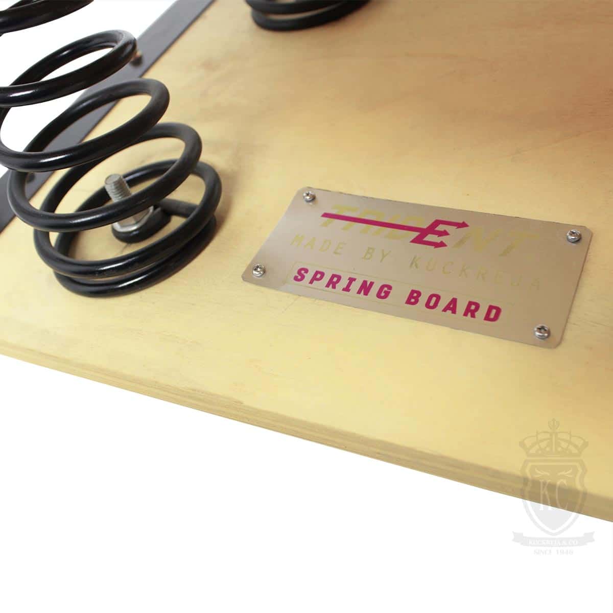 Trident Spring Board - 6 Springs - Image 6
