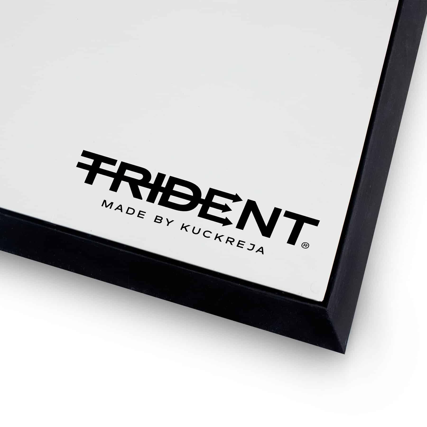 Trident Pro Home Plate with Black Edges - Image 4