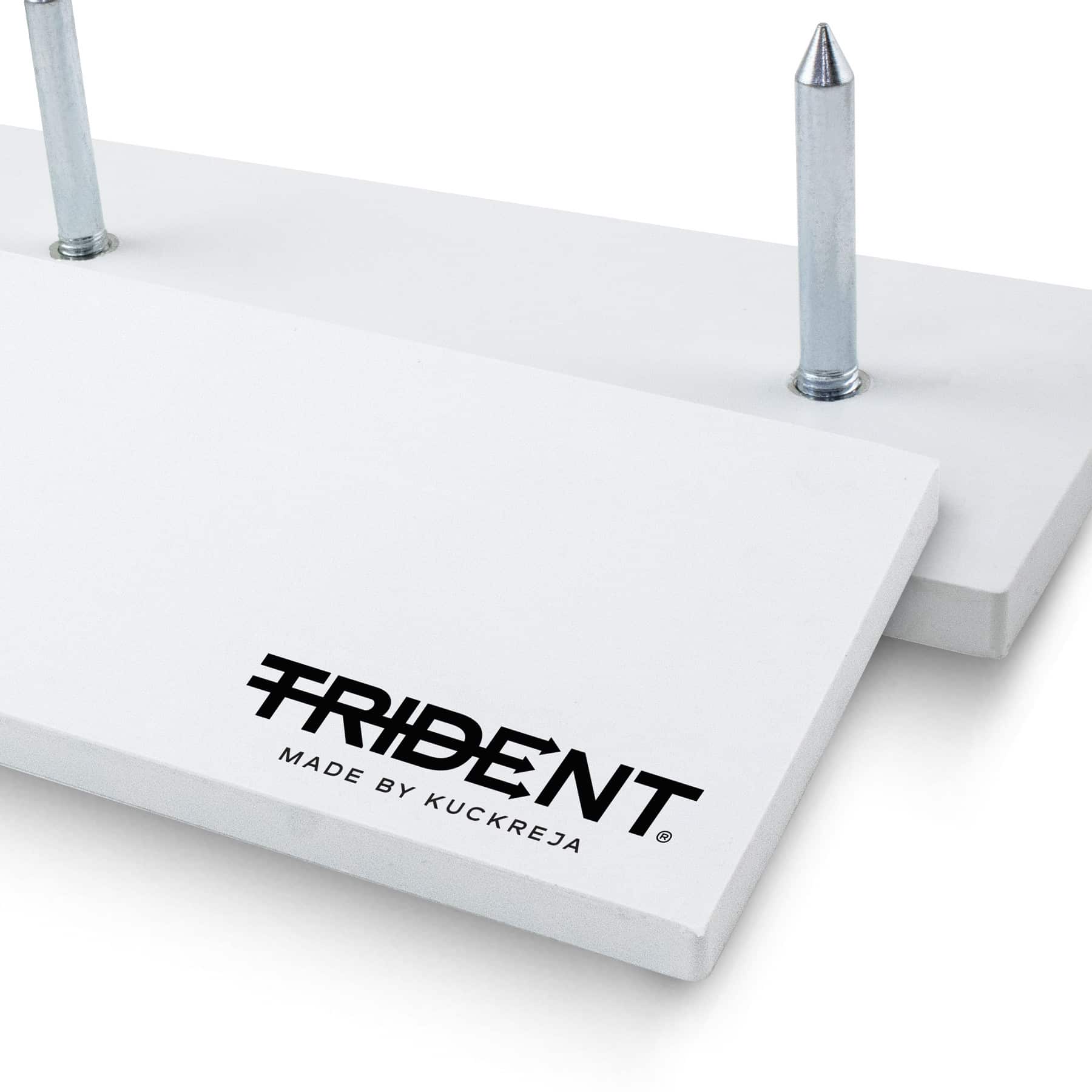 Trident Pitcher Plate - Image 4