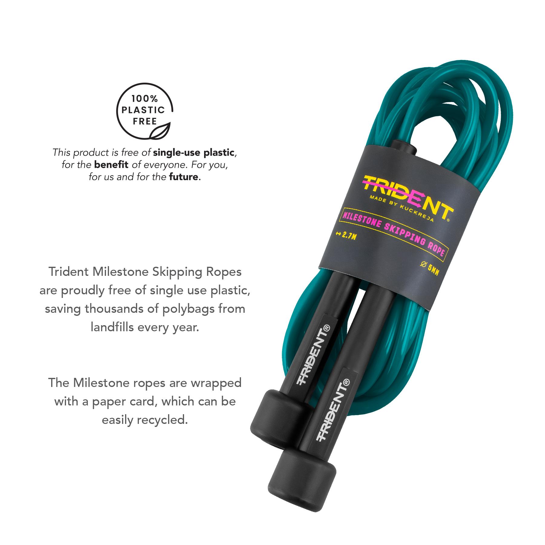 Trident Milestone Skipping Rope - Pure Teal - Image 4