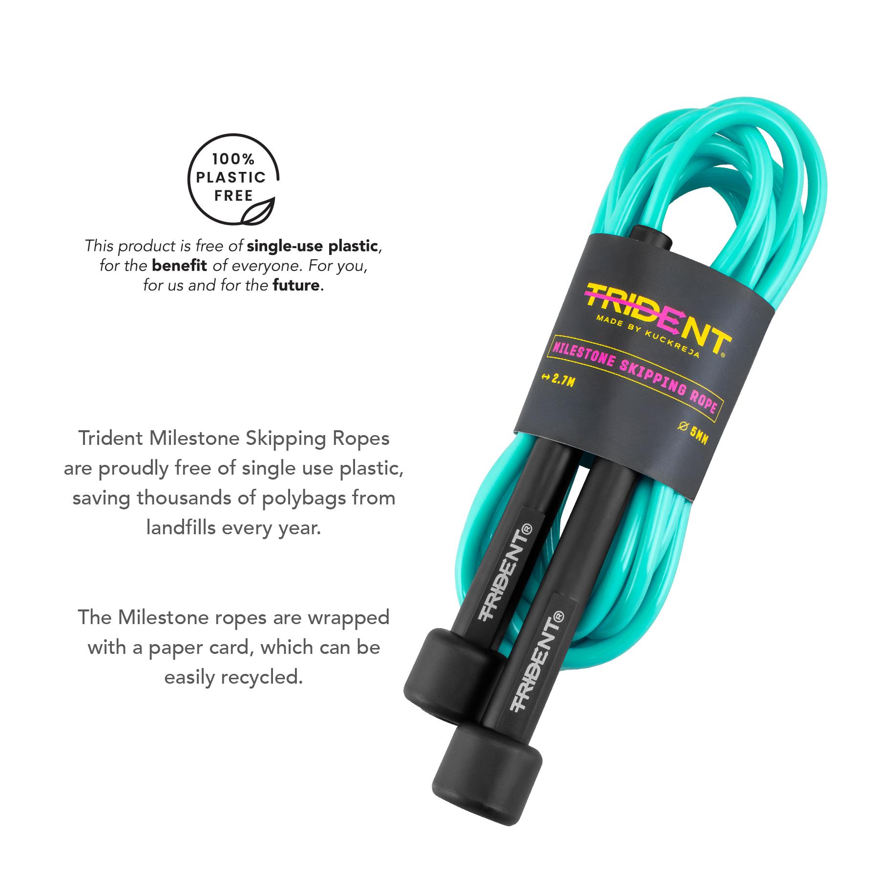 Trident Milestone Skipping Rope - Cool Turquoise - Image 4